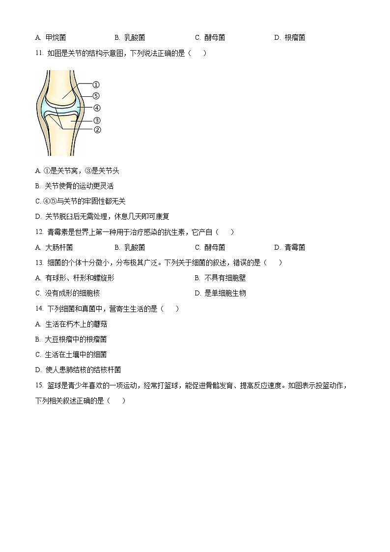广西河池市宜州区2023-2024学年八年级上学期期中考试生物试题第2页