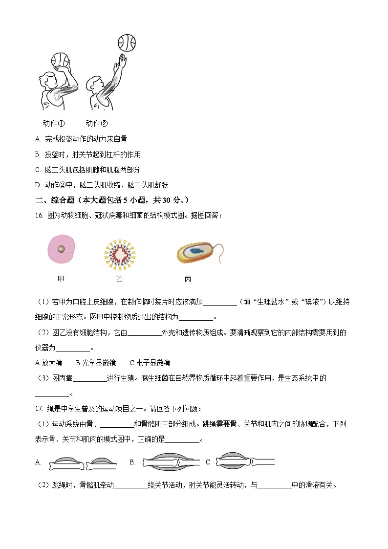 广西河池市宜州区2023-2024学年八年级上学期期中考试生物试题第3页
