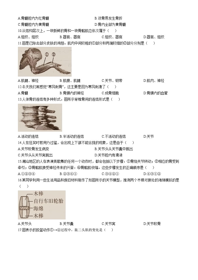 广东省揭阳市惠来县2024-2025学年八年级上学期第一次月考生物试题(无答案)第2页