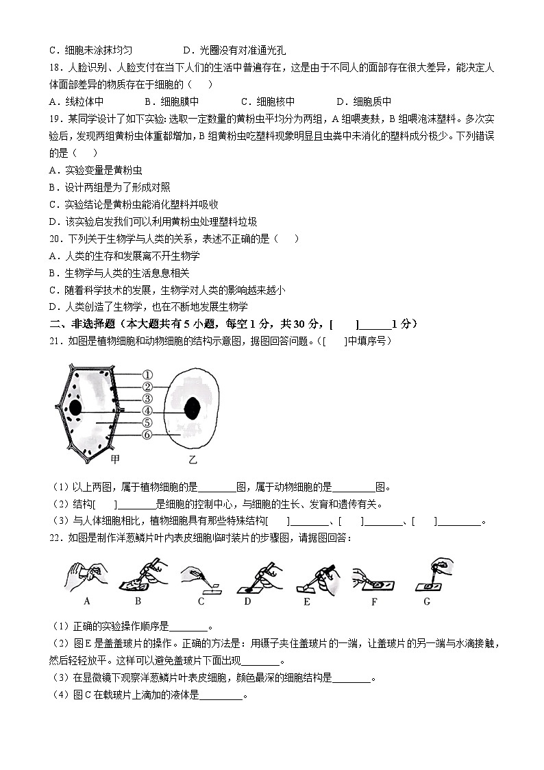 河南省安阳市林州市2024-2025学年七年级上学期10月月考生物试题第3页