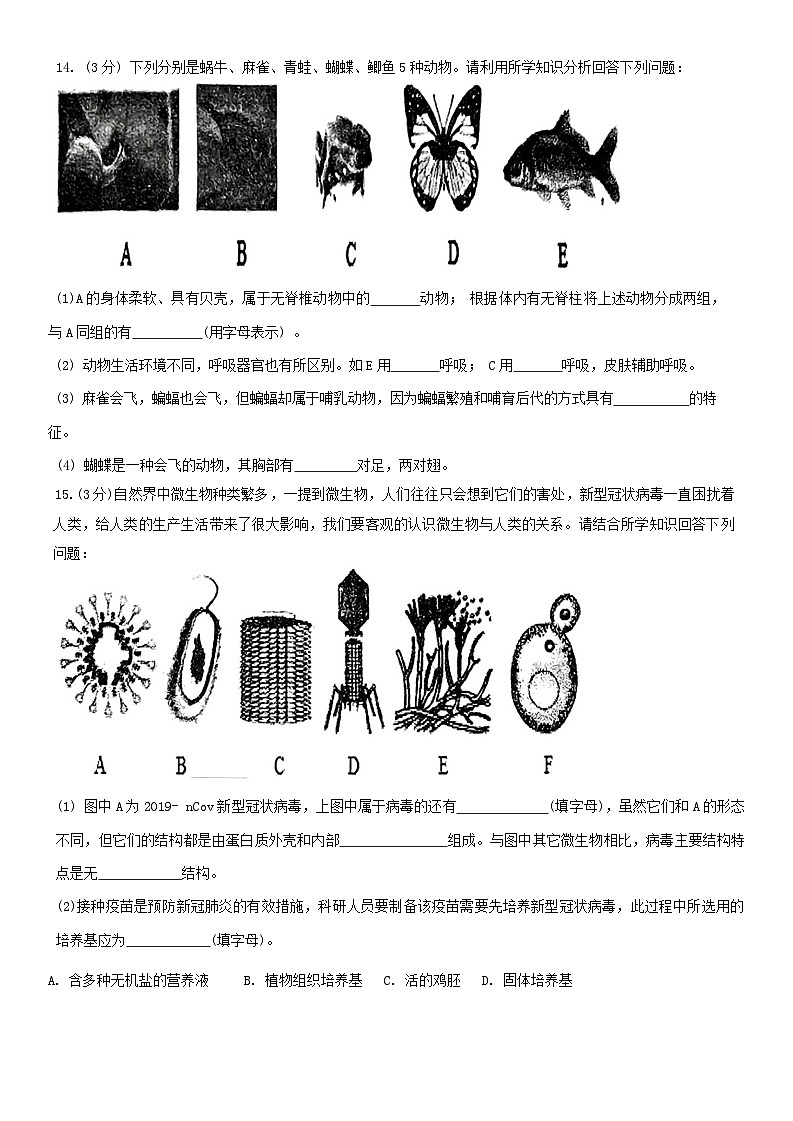 辽宁省沈阳市虹桥初级中学2024-2025学年八年级上学期10月份月考生物试题第3页