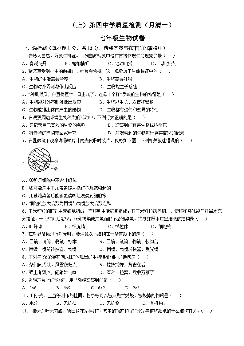 辽宁省阜新市第四中学2024-2025学年七年级上学期10月月考生物试题(无答案)01