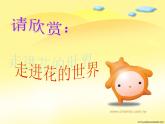 人教版七年级生物《开花和结果》课件PPT