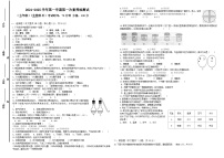 山东省乐陵市张桥中学2024-2025学年七年级上学期第一次月考生物试题