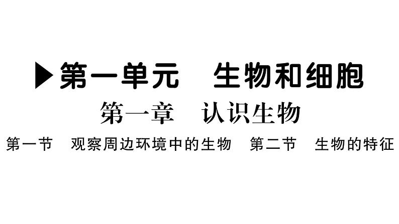 1.1.1观察周边环境中的生物&1.1.2生物的特征 习题课件--2024-2025学年人教版（2024）生物七年级上册01