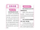 1.1.1观察周边环境中的生物&1.1.2生物的特征 习题课件--2024-2025学年人教版（2024）生物七年级上册