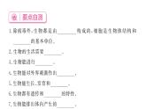 1.1.1观察周边环境中的生物&1.1.2生物的特征 习题课件--2024-2025学年人教版（2024）生物七年级上册