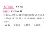 1.1.1观察周边环境中的生物&1.1.2生物的特征 习题课件--2024-2025学年人教版（2024）生物七年级上册