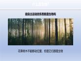 1.1.2 生物的特征 教学课件--2024-2025学年人教版（2024）生物七年级上册