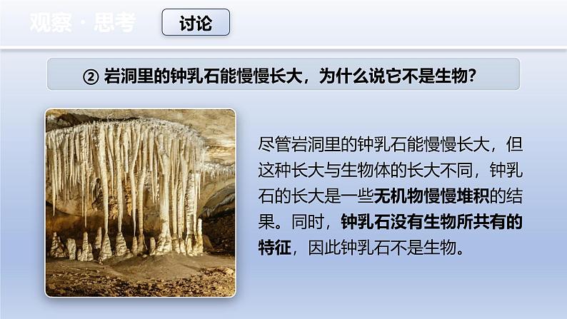 1.1.2 生物的特征 教学课件--2024-2025学年人教版（2024）生物七年级上册07