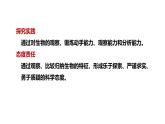 1.1.2 生物的特征课件 2024-2025学年人教版（2024）生物七年级上册
