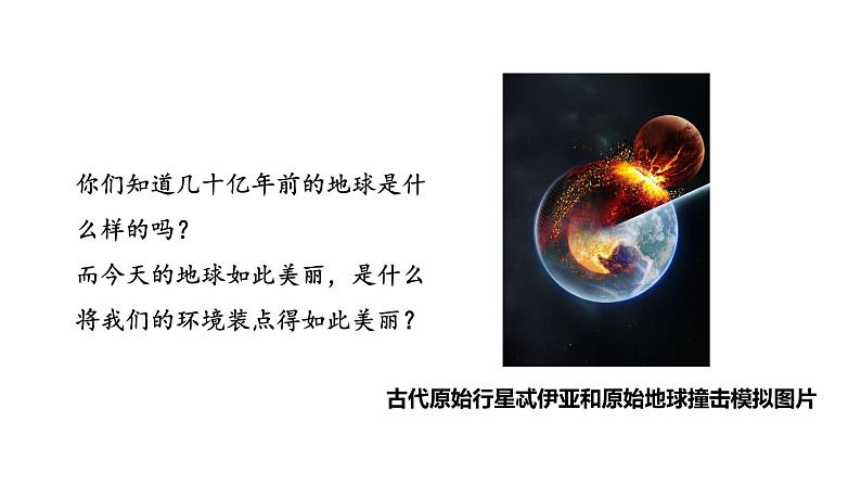 1.1.2 生物的特征课件 2024-2025学年人教版（2024）生物七年级上册第4页