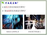 1.1.2 生物的特征课件--2024-2025学年人教版（2024）生物七年级上册