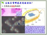 1.1.2 生物的特征课件--2024-2025学年人教版（2024）生物七年级上册