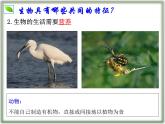 1.1.2 生物的特征课件--2024-2025学年人教版（2024）生物七年级上册