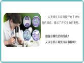 1.2.1 学习使用显微镜课件--2024-2025学年人教版（2024）生物七年级上册