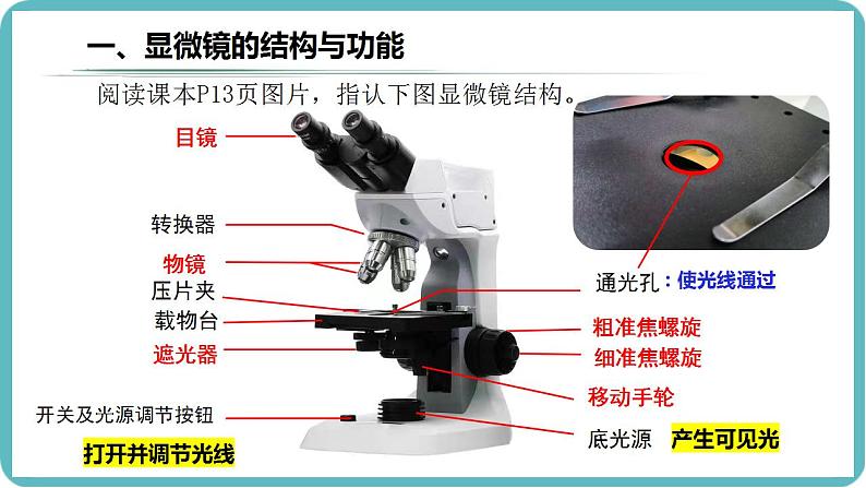 1.2.1 学习使用显微镜课件--2024-2025学年人教版（2024）生物七年级上册第5页