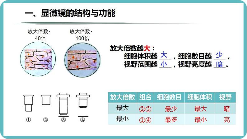 1.2.1 学习使用显微镜课件--2024-2025学年人教版（2024）生物七年级上册第7页