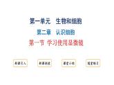 1.2.1学习使用显微镜课件---2024-2025学年人教版（2024）生物七年级上册