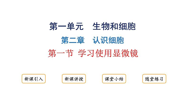 1.2.1学习使用显微镜课件---2024-2025学年人教版（2024）生物七年级上册01