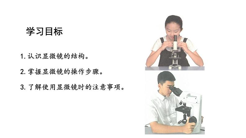 1.2.1学习使用显微镜课件---2024-2025学年人教版（2024）生物七年级上册02