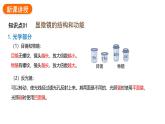 1.2.1学习使用显微镜课件---2024-2025学年人教版（2024）生物七年级上册