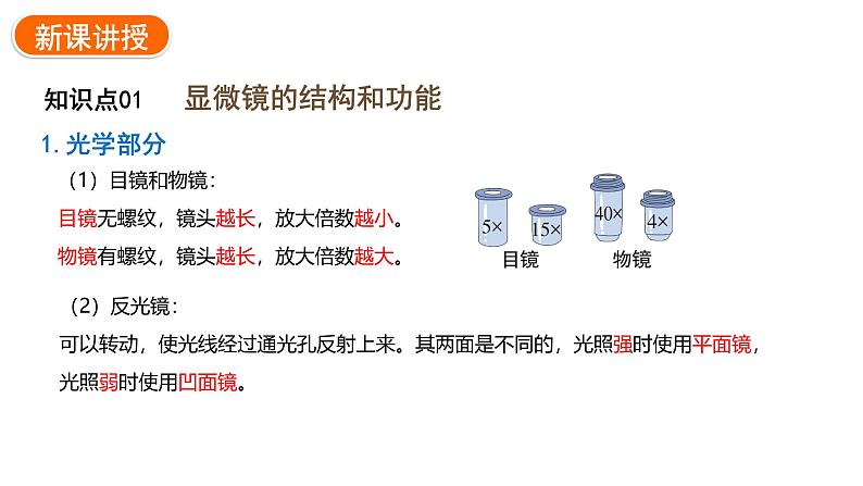 1.2.1学习使用显微镜课件---2024-2025学年人教版（2024）生物七年级上册05