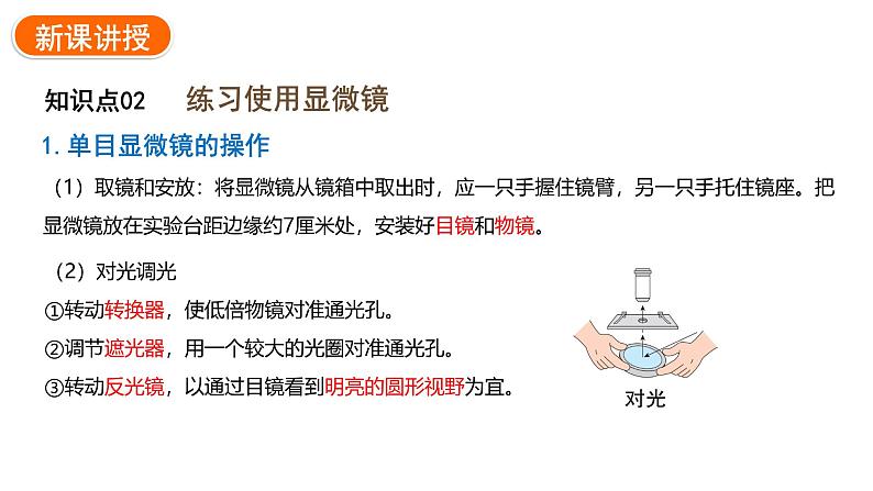 1.2.1学习使用显微镜课件---2024-2025学年人教版（2024）生物七年级上册07