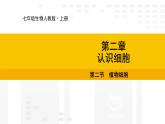1.2.2  植物细胞   课件---2024-2025学年人教版（2024）生物七年级上册