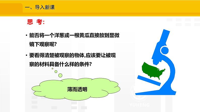 1.2.2  植物细胞   课件---2024-2025学年人教版（2024）生物七年级上册第2页