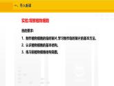 1.2.2  植物细胞   课件---2024-2025学年人教版（2024）生物七年级上册