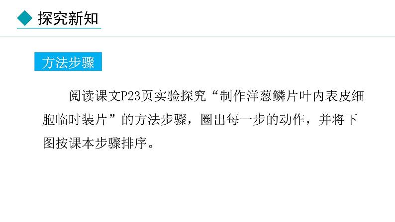 1.2.2  植物细胞课件---2024-2025学年人教版（2024）生物七年级上册第7页