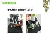 1.2.2  植物细胞（第一课时）课件---2024-2025学年人教版（2024）生物七年级上册