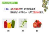 1.2.2  植物细胞（第一课时）课件---2024-2025学年人教版（2024）生物七年级上册