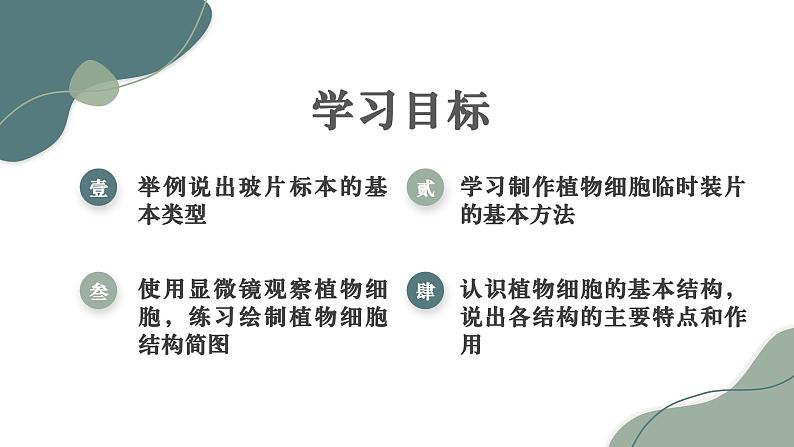 1.2.2 植物细胞 课件  2024-2025学年人教版（2024）生物七年级上册第2页