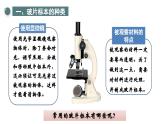 1.2.2 植物细胞 课件  2024-2025学年人教版（2024）生物七年级上册