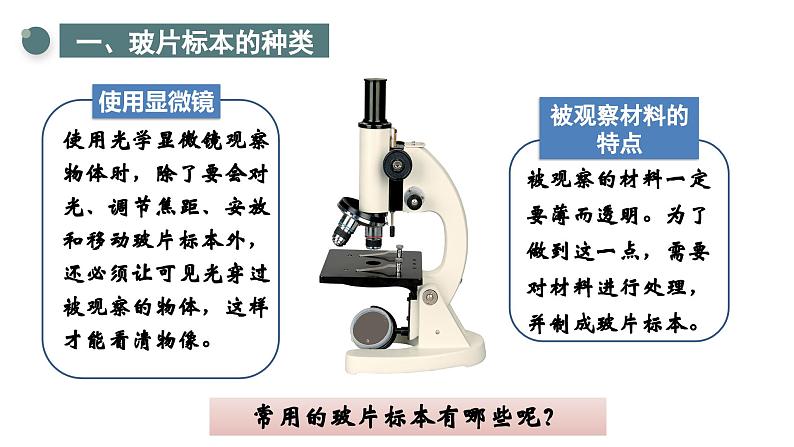 1.2.2 植物细胞 课件  2024-2025学年人教版（2024）生物七年级上册第4页