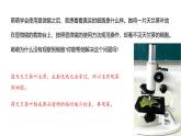 1.2.2 植物细胞 课件---2024-2025学年人教版（2024）生物七年级上册