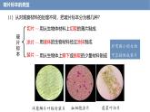 1.2.2 植物细胞 课件---2024-2025学年人教版（2024）生物七年级上册