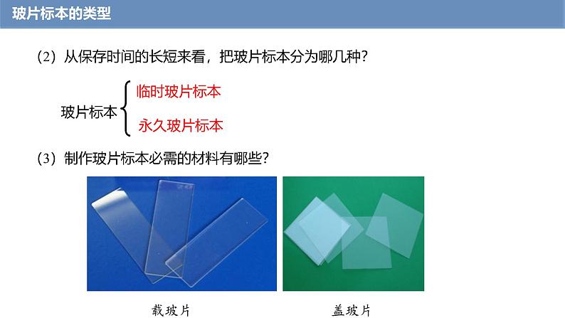 1.2.2 植物细胞 课件---2024-2025学年人教版（2024）生物七年级上册第6页