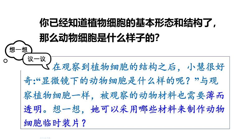 1.2.3 动物细胞课件 --2024-2025学年人教版（2024）生物七年级上册03