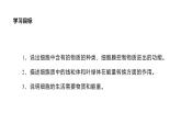 1.2.4 细胞的生活 课件 -2024-2025学年人教版（2024）生物七年级上册