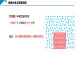 1.2.4 细胞的生活 课件 -2024-2025学年人教版（2024）生物七年级上册