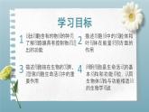 1.2.4 细胞的生活 课件---2024-2025学年人教版（2024）生物七年级上册