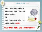 1.2.4 细胞的生活 课件---2024-2025学年人教版（2024）生物七年级上册
