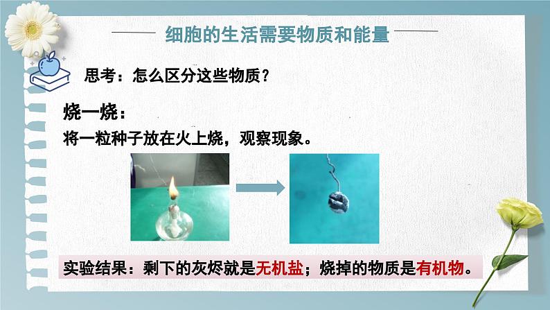 1.2.4 细胞的生活 课件---2024-2025学年人教版（2024）生物七年级上册05