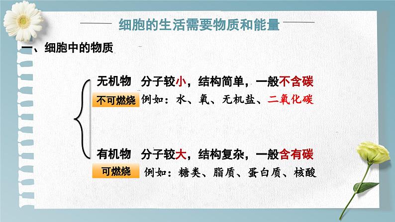 1.2.4 细胞的生活 课件---2024-2025学年人教版（2024）生物七年级上册07