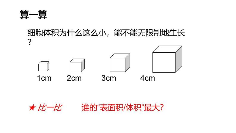 1.3.1细胞通过分裂产生新细胞课件------2024-2025学年人教版（2024）生物七年级上册04