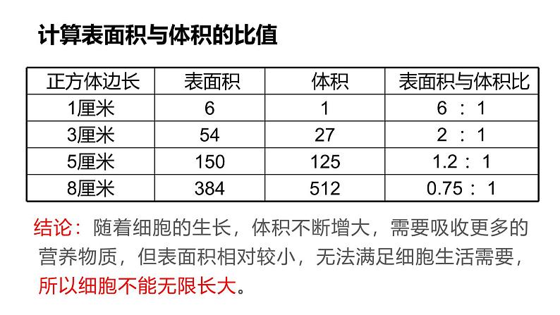 1.3.1细胞通过分裂产生新细胞课件------2024-2025学年人教版（2024）生物七年级上册05