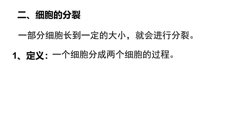 1.3.1细胞通过分裂产生新细胞课件------2024-2025学年人教版（2024）生物七年级上册06